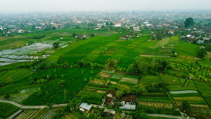 Fototapeta na wymiar View Of Village And A Green Field Aerial