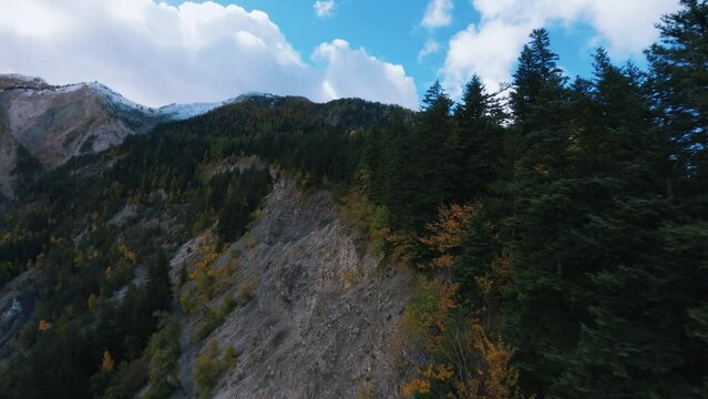 Explore an alpine valley by drone on a cloudy autumn day between early snow and orange trees