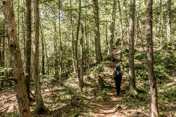 Girl hiking in the Forest near lake in La Mauricie National Park Quebec, Canada on a beautiful day
