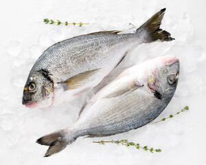 Fresh sea fish dorado peeled laid out on pieces of ice decorated sprig of greenery isolated on white background top view for your design. Healthy food. Vitamins Omega B12, healthy fats