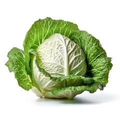 Fototapeta premium Cabbage
