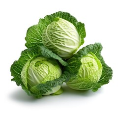 Cabbage