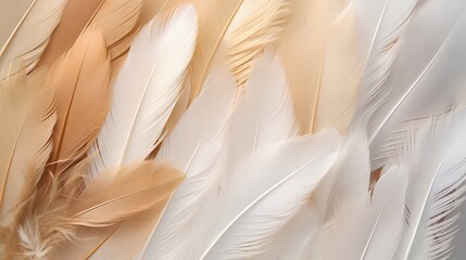 Feathers background with beige colors blend and aesthetic soft style. Fragile and sensitive elements from nature. Neutral pastel design. Beautiful wallpaper with natural texture. Purity and beauty. - obrazy, fototapety, plakaty