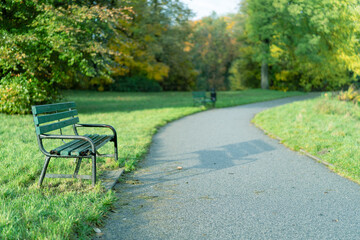 Park, pusta ławka przy alejce w parku - obrazy, fototapety, plakaty