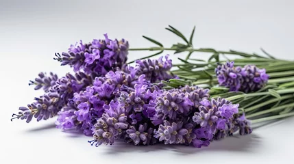 Foto op Plexiglas A bunch of lavender flowers on a white background © MSHAHID