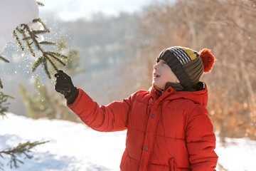 Boy in red puffy jacket and knitted hat with bubo in winter forest shakes spruce branch in rays of...