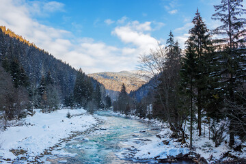 Fototapeta na wymiar mountainous landscape with river winding down the valley. forested carpathian countryside scenery in winter. freezing water stream beneath a bright blue sky with fluffy clouds