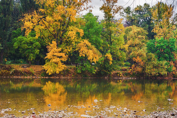 trees in colorful foliage reflecting in water. autumnal nature background on an overcast day