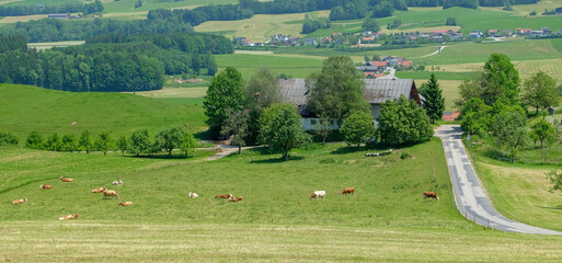 Nordösterreich bei Salzburg