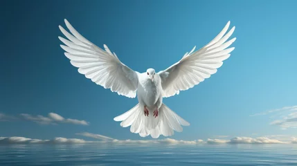 Fotobehang white dove on blue sky background © Sania