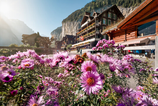 Rustic village with flower blooming, wooden hotel and waterfall flowing from the mountain in Lauterbrunnen, Switzerland