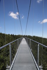 Long suspension bridge over forested mountain