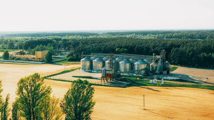 Aerial Elevated Top View Modern Granary, Grain-drying Complex, Commercial Grain Or Seed Silos In...