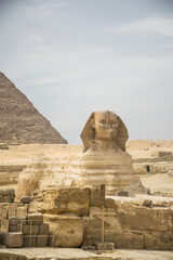 Fototapeta na wymiar The great Sphinx of Giza in front of pyramids, Cairo, Egypt