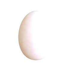 Chicken egg with white background isolated 3d render illustration