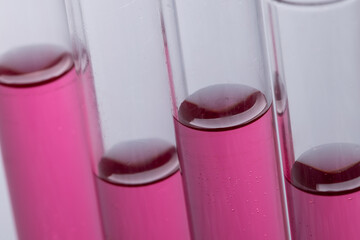 Close up of laboratory test tubes with pink liquid and copy space on grey background