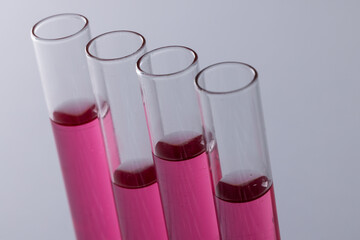 Close up of laboratory test tubes with pink liquid and copy space on grey background