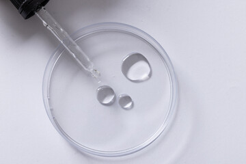 Close up of laboratory dish and pipette with copy space on white background
