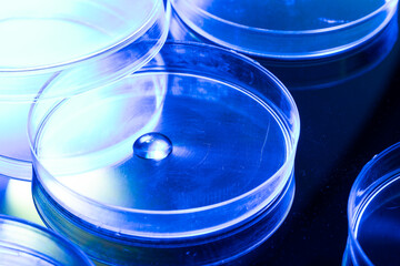 Close up of laboratory dishes with liquid and copy space on blue background