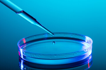 Close up of pipette and laboratory dish with liquid and copy space on blue background