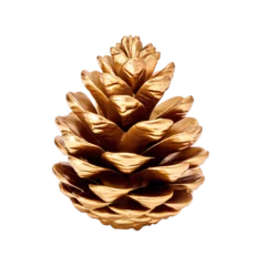 Foto auf Alu-Dibond Golden pine cone isolated on a transparent background. © PixelXpert