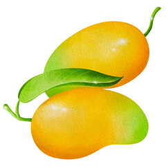 mangoes with leaves isolated