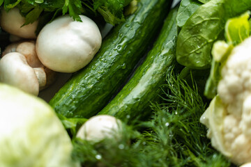 fresh vegetables on a dark background