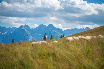 Rusinowa Glade, a serene spot in Tatra National Park, comes alive in summer. A local highlander...