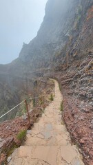 Fototapeta na wymiar hiking in Madeira island mountain 18