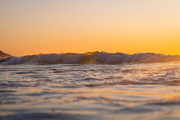 Beautiful morning wave in the ocean.