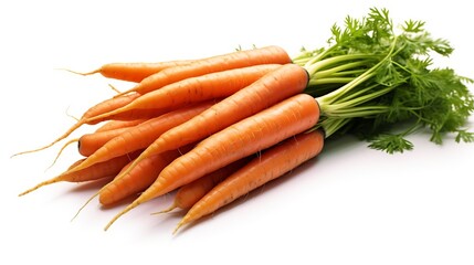 Carrot isolated on white background