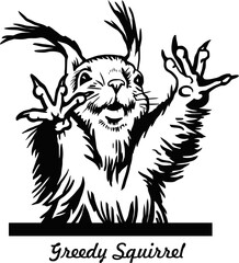 Peeking Squirrel - Comic Animal - Funny Animal - Wildlife Stencil - vector clipart stock