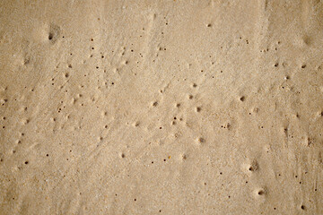 Wet Sand texture. Sandy ocean beach for background.