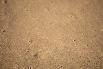 Wet Sand texture. Sandy ocean beach for background.