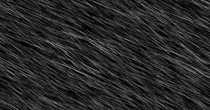 Lines overlay animation similar direction long sketch white black. Cartoon doodle grunge crazy scratches, animation good  for any video material 4K.