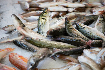 fish stall at market Portugal. Fresh chilled variety fish