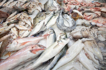 Fototapeta premium fish stall at market Portugal. Fresh chilled variety fish