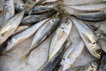 fish stall at market Portugal. Fresh chilled variety fish