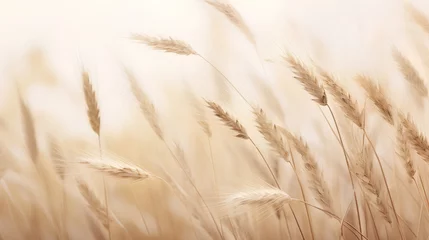 Muurstickers Tranquil beauty of soft wheat grasses in calming beige hues. Neutral tones and minimalist aesthetic serene background. The crop grass with natural elegance and simplicity. © TensorSpark