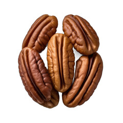 Pecan half isolated on transparent background