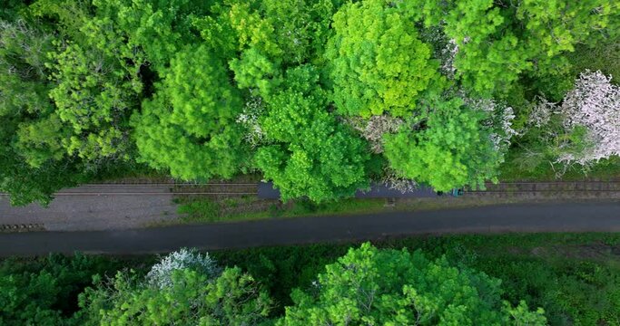 Waterford Suir Valley Railway in summer 4k