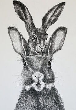 Liner drawing of two cute Easter bunnies with their heads on top of each other