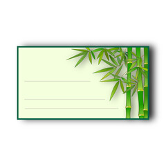 Postcard bamboo
