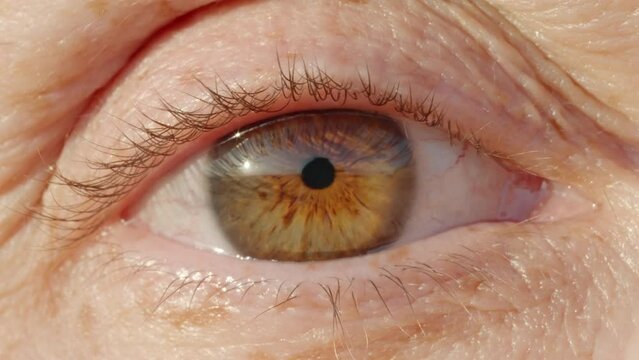 Woman's eye close up opening looking at camera macro photography. Iris of woman's brown eye with freckles. Portrait woman eye. Natural Beauty concept