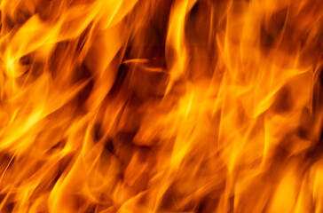 Fototapeta premium flames of fire on charcoal as background.