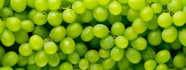 Close up of raw organic sweet green grapes background, wine grapes texture.