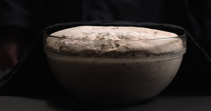 Woman pulls a black cloth from a risen bread dough