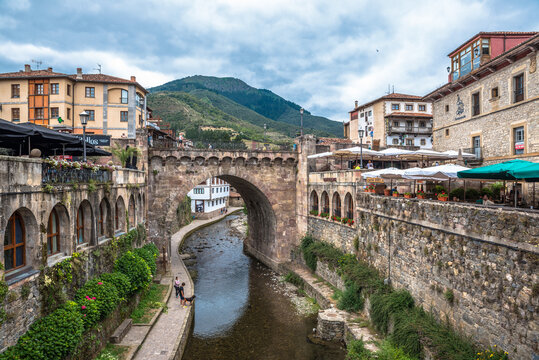 Potes Bilder Durchsuchen 1,654 Archivfotos, und Videos