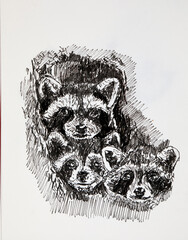 graphic portrait of a family of raccoons
