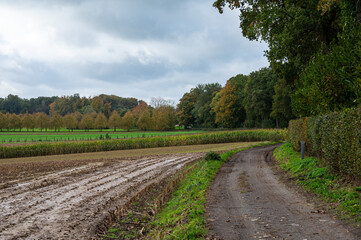 Fototapeta na wymiar Harvested agriculture field and dirty walking path at the Pajottenland, Belgium